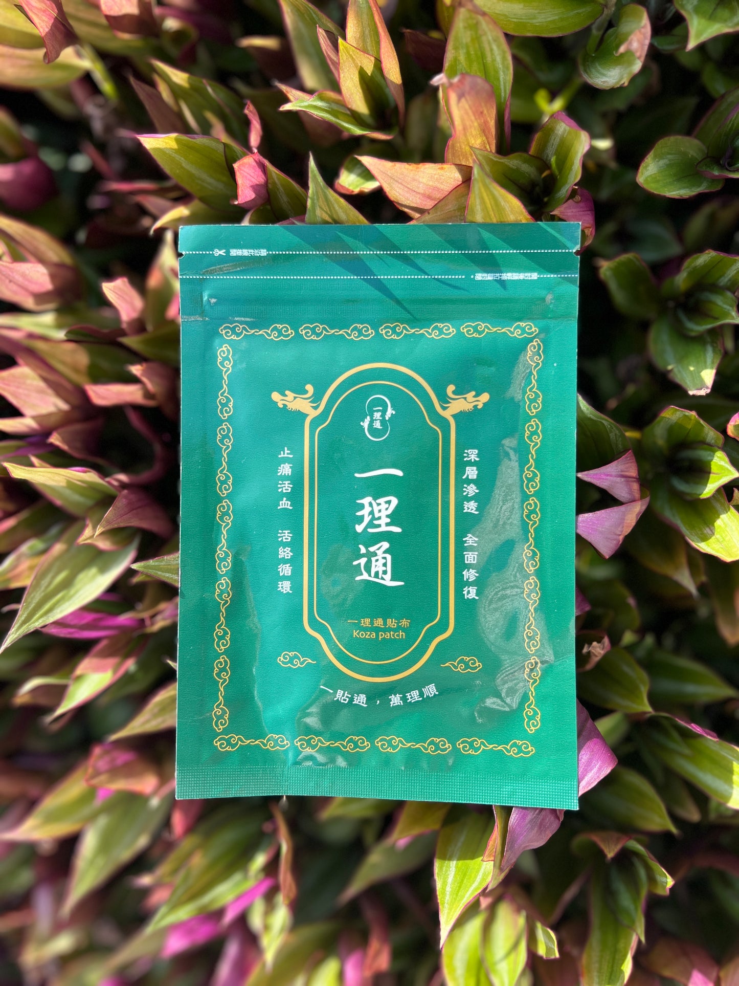 一理通貼布